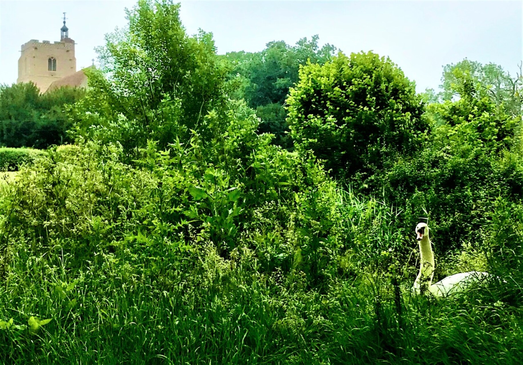 Sudbury and Bulmer Walk Sunday 27th June 2021 Ipswich Outdoor Group